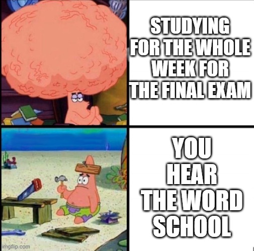 angery | STUDYING FOR THE WHOLE WEEK FOR THE FINAL EXAM; YOU HEAR THE WORD SCHOOL | image tagged in patrick big brain | made w/ Imgflip meme maker