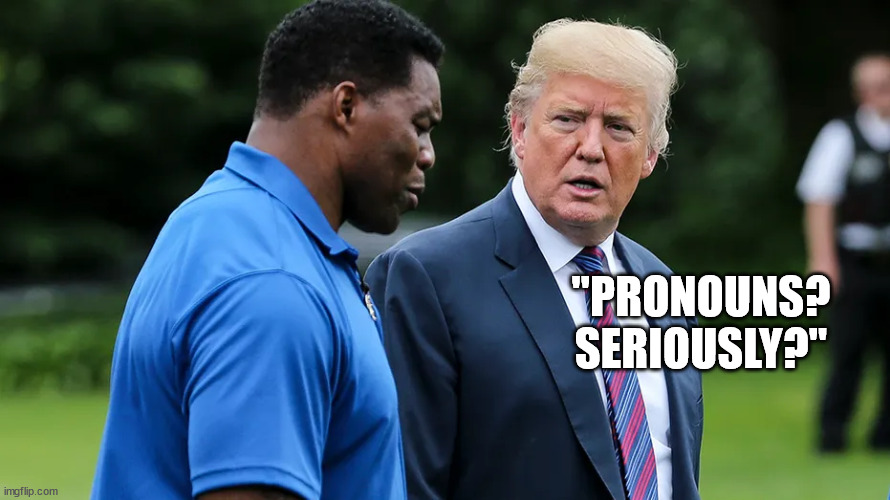 Dumb and Dumber | "PRONOUNS? SERIOUSLY?" | image tagged in herschel walker trump | made w/ Imgflip meme maker