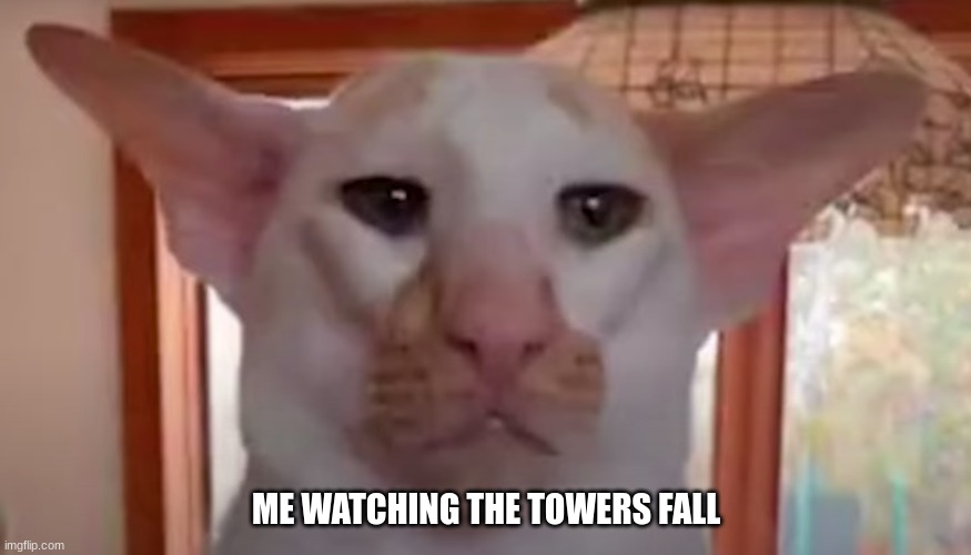 Big dominos go brrrr | ME WATCHING THE TOWERS FALL | image tagged in twin towers,lol | made w/ Imgflip meme maker