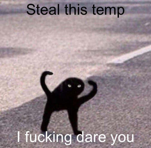 Cursed cat temp | Steal this temp; I fucking dare you | image tagged in cursed cat temp | made w/ Imgflip meme maker