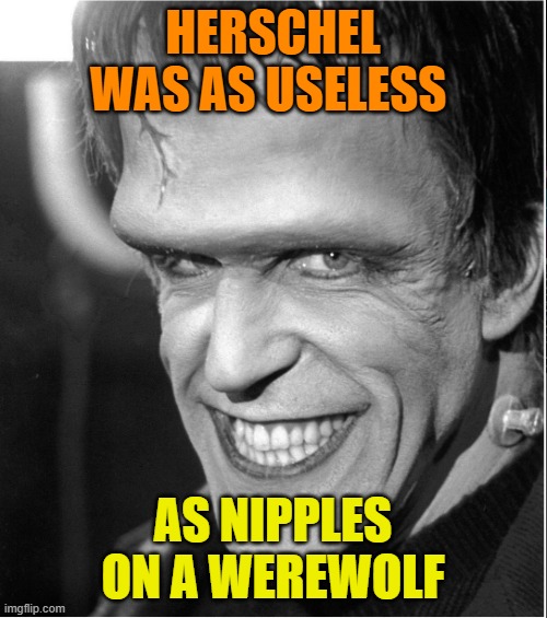the Silver bullet of Georgia | HERSCHEL WAS AS USELESS; AS NIPPLES ON A WEREWOLF | image tagged in herman munster,donald trump,maga,georgia,political memes | made w/ Imgflip meme maker