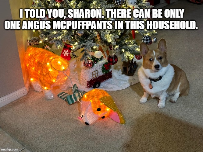 There can be only one | I TOLD YOU, SHARON. THERE CAN BE ONLY ONE ANGUS MCPUFFPANTS IN THIS HOUSEHOLD. | image tagged in disapproving corgis,corgo power | made w/ Imgflip meme maker