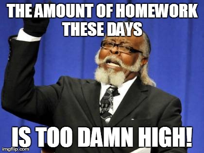 Too Damn High | THE AMOUNT OF HOMEWORK THESE DAYS  IS TOO DAMN HIGH! | image tagged in memes,too damn high | made w/ Imgflip meme maker