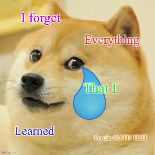 Doge | I forget; Everything; That I; Learned; For the MATH TEST | image tagged in memes,doge | made w/ Imgflip meme maker