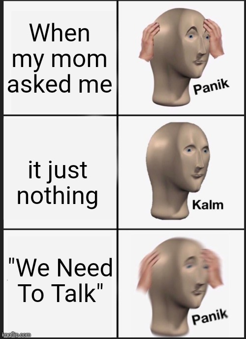 Idk | When my mom asked me; it just nothing; "We Need To Talk" | image tagged in memes,panik kalm panik | made w/ Imgflip meme maker