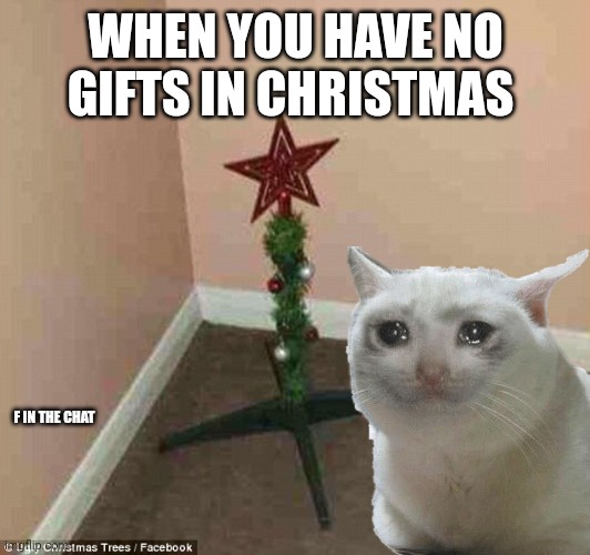 f in the chat | WHEN YOU HAVE NO GIFTS IN CHRISTMAS; F IN THE CHAT | image tagged in sad,christmas | made w/ Imgflip meme maker