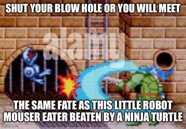 SHUT YOUR BLOW HOLE OR YOU WILL MEET THE SAME FATE AS THIS LITTLE ROBOT MOUSER EATER BEATEN BY A NINJA TURTLE | made w/ Imgflip meme maker