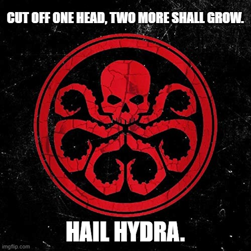 Hail Hydra | CUT OFF ONE HEAD, TWO MORE SHALL GROW. HAIL HYDRA. | image tagged in hail hydra | made w/ Imgflip meme maker