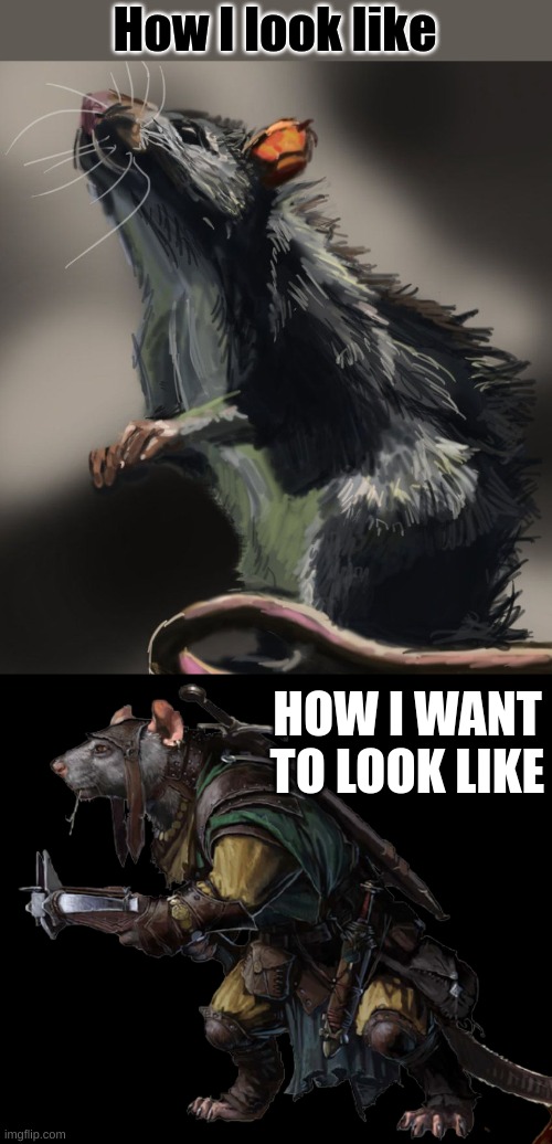 (not really related but still) I joined the trend, and yes I like rats | How I look like; HOW I WANT TO LOOK LIKE | made w/ Imgflip meme maker