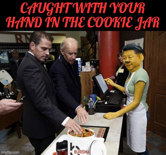 Caught With Your Hand In The Cookie Jar | CAUGHT WITH YOUR HAND IN THE COOKIE JAR | image tagged in hunter,joe biden,treason | made w/ Imgflip meme maker