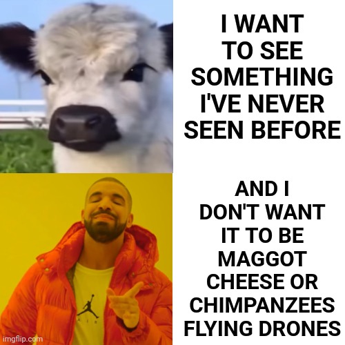 Something That Will Take My Breath Away | I WANT TO SEE SOMETHING I'VE NEVER SEEN BEFORE; AND I DON'T WANT IT TO BE MAGGOT CHEESE OR CHIMPANZEES FLYING DRONES | image tagged in memes,drake hotline bling,new,unique,breath taking,inspiring | made w/ Imgflip meme maker