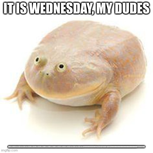 Wednesday Frog Blank | IT IS WEDNESDAY, MY DUDES; AAAAAAAAAAAAAAAAAAAAAAAAAAAAAAAAAAAAAAAAAAAAAAAAAAAAAAAAAAAAAAAAAAAAAAAAAAAAAIIIIIIIIIIIIIIIIIIIIIIIIGGGGGGGGGGGGGGHHHHHHHHHHHHHHHHHHHHHHHHHH!!!!!!!!!!!!!!!! | made w/ Imgflip meme maker