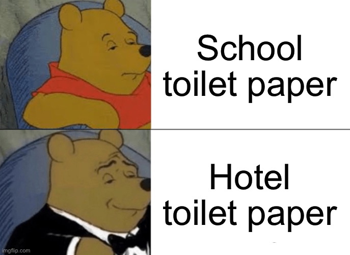 theyre the exact same thing but one is fancier and has a triangle fold | School toilet paper; Hotel toilet paper | image tagged in memes,tuxedo winnie the pooh | made w/ Imgflip meme maker