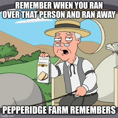 Pepperidge Farm Remembers | REMEMBER WHEN YOU RAN OVER THAT PERSON AND RAN AWAY; PEPPERIDGE FARM REMEMBERS | image tagged in memes,pepperidge farm remembers | made w/ Imgflip meme maker