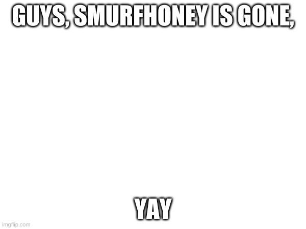 he is gone | GUYS, SMURFHONEY IS GONE, YAY | image tagged in memes | made w/ Imgflip meme maker