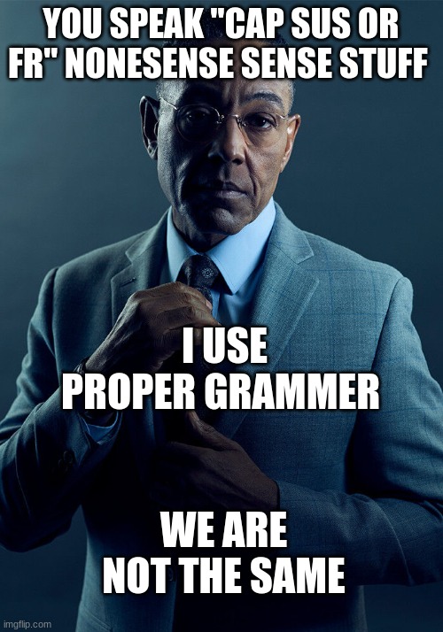 we are not the same | YOU SPEAK "CAP SUS OR FR" NONESENSE SENSE STUFF; I USE PROPER GRAMMER; WE ARE NOT THE SAME | image tagged in gus fring we are not the same,grammar | made w/ Imgflip meme maker