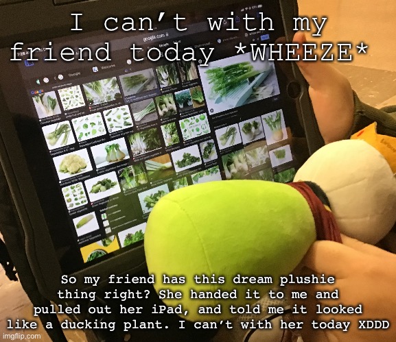 Somebody help I’m dying irl over here- | I can’t with my friend today *WHEEZE*; So my friend has this dream plushie thing right? She handed it to me and pulled out her iPad, and told me it looked like a ducking plant. I can’t with her today XDDD | made w/ Imgflip meme maker