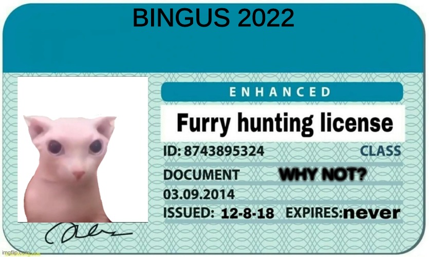 furry hunting license | BINGUS 2022 WHY NOT? | image tagged in furry hunting license | made w/ Imgflip meme maker