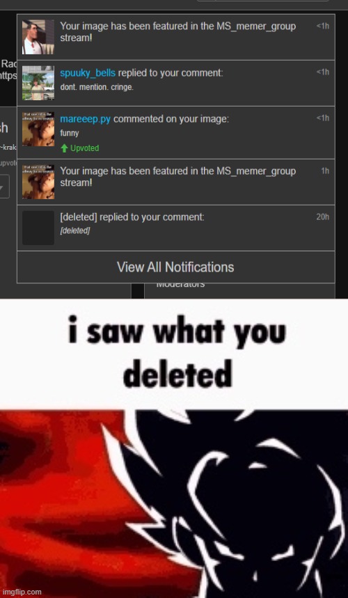 i saw what you deleted | image tagged in i saw what you deleted | made w/ Imgflip meme maker