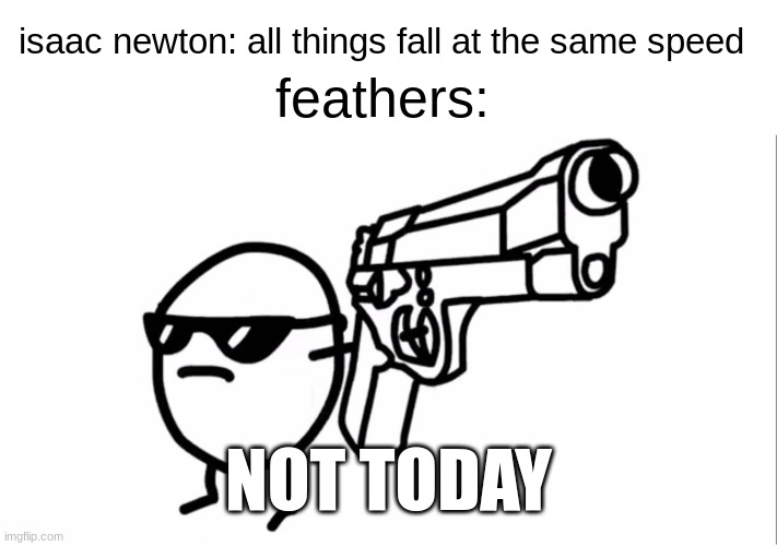 my life is a lie | feathers:; isaac newton: all things fall at the same speed; NOT TODAY | image tagged in fun,memes,physics,relatable | made w/ Imgflip meme maker