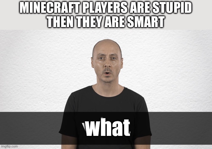 what man | MINECRAFT PLAYERS ARE STUPID
THEN THEY ARE SMART what | image tagged in what man | made w/ Imgflip meme maker