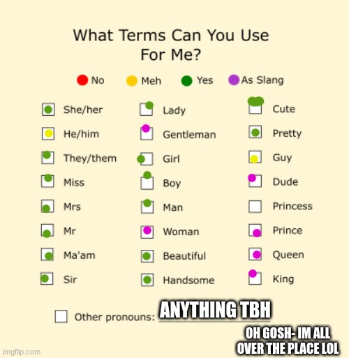 lol help | ANYTHING TBH; OH GOSH- IM ALL OVER THE PLACE LOL | image tagged in pronouns sheet | made w/ Imgflip meme maker