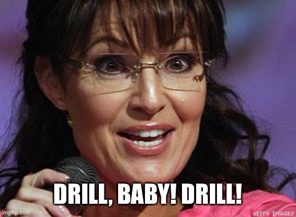 Sarah Palin crazy | DRILL, BABY! DRILL! | image tagged in sarah palin crazy | made w/ Imgflip meme maker