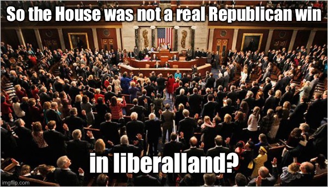 Congress | So the House was not a real Republican win in liberalland? | image tagged in congress | made w/ Imgflip meme maker