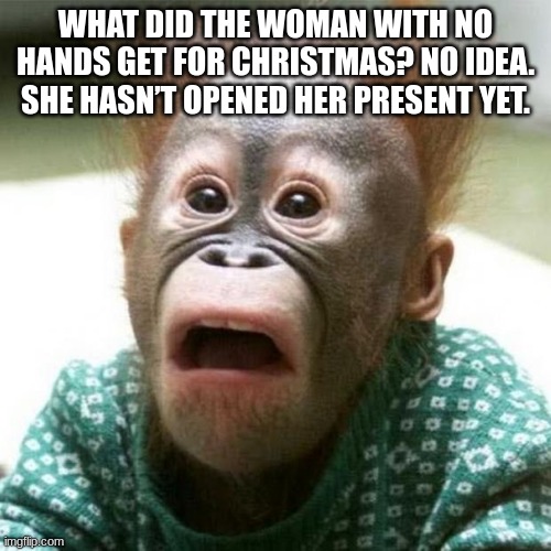 Shocked Monkey | WHAT DID THE WOMAN WITH NO HANDS GET FOR CHRISTMAS? NO IDEA. SHE HASN’T OPENED HER PRESENT YET. | image tagged in shocked monkey | made w/ Imgflip meme maker