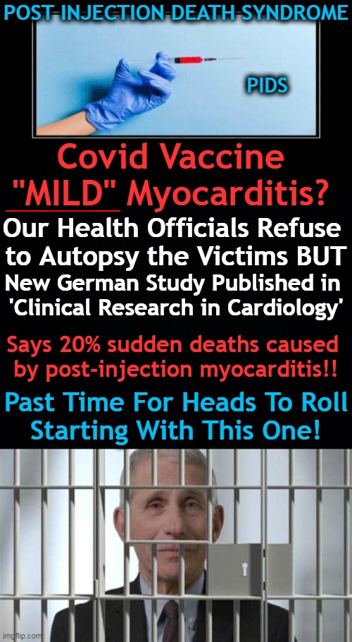 “Our authorities claim that ‘myocarditis does not cause deaths’ for only 1 reason: they refused to autopsy vax victims.” Chudov |  POST INJECTION DEATH SYNDROME; PIDS; Covid Vaccine 
"MILD" Myocarditis? Our Health Officials Refuse 
to Autopsy the Victims BUT; New German Study Published in 
'Clinical Research in Cardiology'; Says 20% sudden deaths caused 
by post-injection myocarditis!! Past Time For Heads To Roll
Starting With This One! | image tagged in politics,myocarditis,cdc,cover up,death,dr fauci | made w/ Imgflip meme maker