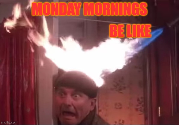 Monday mornings | MONDAY MORNINGS; BE LIKE | image tagged in funny meme | made w/ Imgflip meme maker
