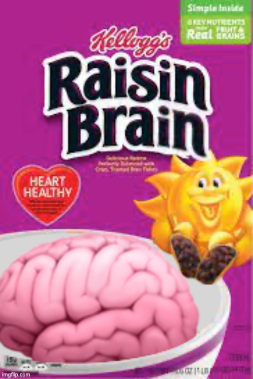 Raisin Brain | image tagged in raisin,brain,raisin bran,cereal | made w/ Imgflip meme maker