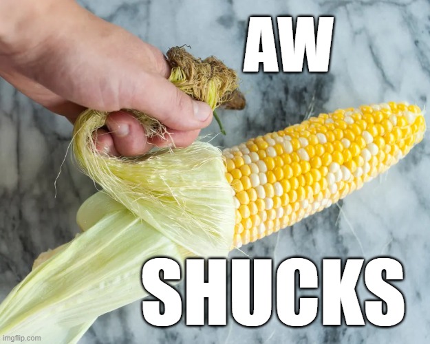 Aw shucks | AW; SHUCKS | image tagged in aw shucks,corn,shucking corn,shucks,pun,dad joke | made w/ Imgflip meme maker