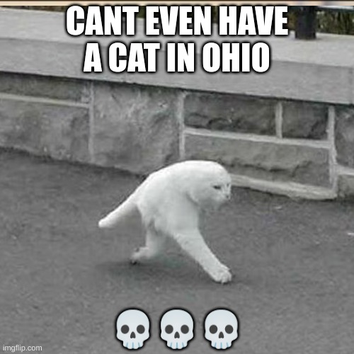 Cant even have a cat in ohio? | CANT EVEN HAVE A CAT IN OHIO; 💀💀💀 | image tagged in ohio,cat,memes | made w/ Imgflip meme maker