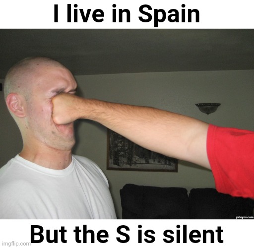 Face punch | I live in Spain; But the S is silent | image tagged in face punch,more spain,horaay | made w/ Imgflip meme maker