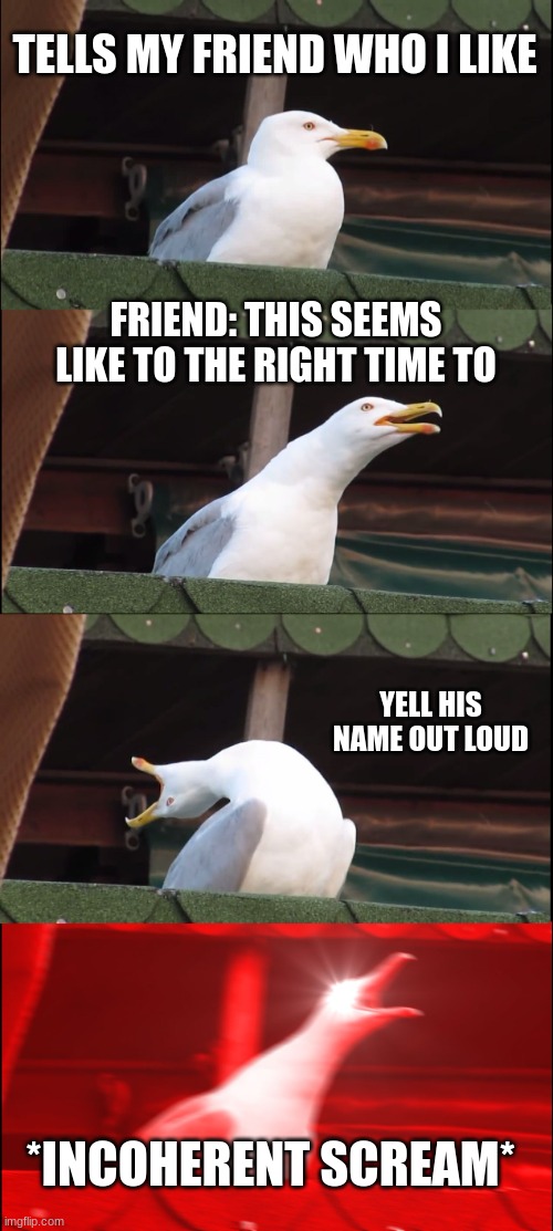 Inhaling Seagull | TELLS MY FRIEND WHO I LIKE; FRIEND: THIS SEEMS LIKE TO THE RIGHT TIME TO; YELL HIS NAME OUT LOUD; *INCOHERENT SCREAM* | image tagged in memes,inhaling seagull | made w/ Imgflip meme maker