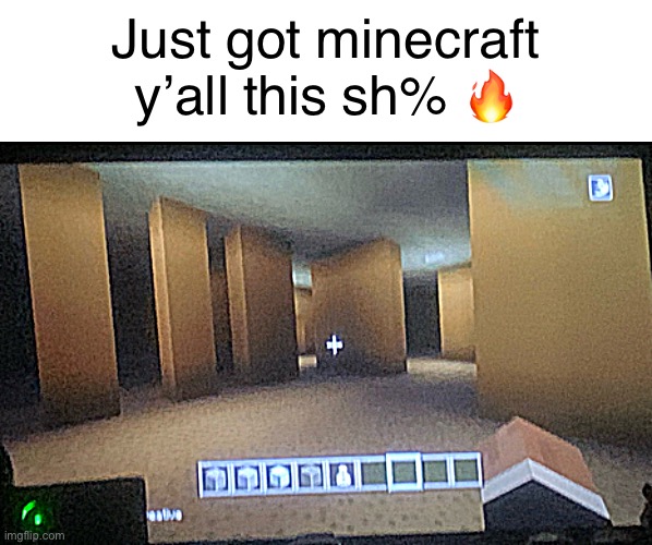 m i n e c r a f t | Just got minecraft y’all this sh% 🔥 | image tagged in lol,minecraft,why are you reading this | made w/ Imgflip meme maker