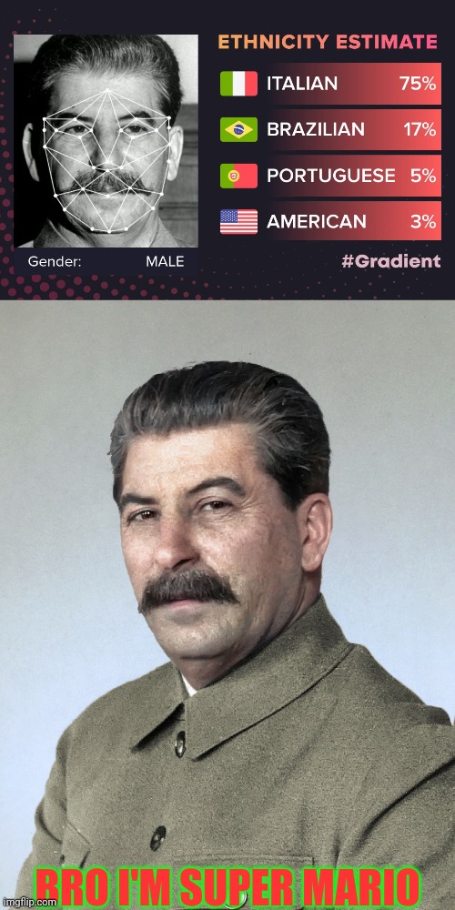 Stalin Is italian! | BRO I'M SUPER MARIO | image tagged in joseph stalin,italian,russia,soviet union,super mario,videogames | made w/ Imgflip meme maker
