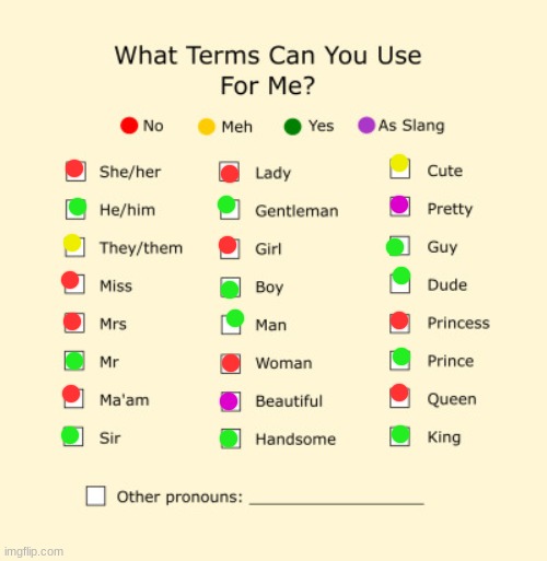 Pronouns Sheet | image tagged in pronouns sheet | made w/ Imgflip meme maker