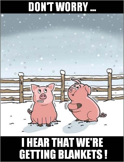 Christmas Is Coming ... For Some ! | DON'T WORRY ... I HEAR THAT WE'RE
 GETTING BLANKETS ! | image tagged in christmas,pigs,blanket,dark humour | made w/ Imgflip meme maker