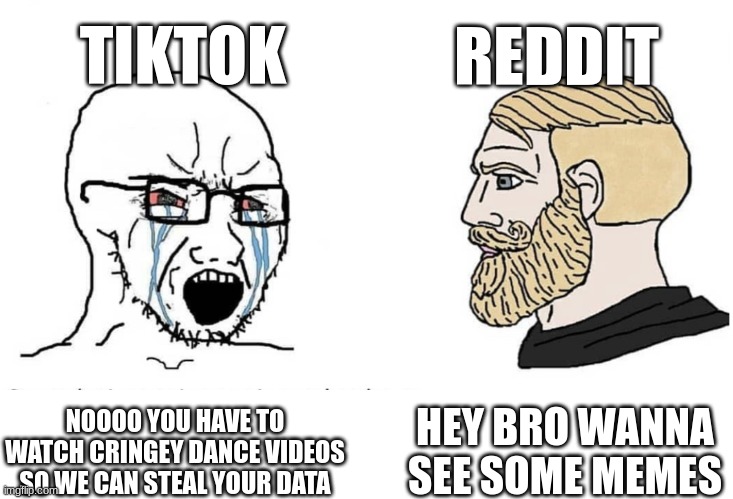 (Imgflip=Reddit)>TikTok |  REDDIT; TIKTOK; HEY BRO WANNA SEE SOME MEMES; NOOOO YOU HAVE TO WATCH CRINGEY DANCE VIDEOS SO WE CAN STEAL YOUR DATA | image tagged in soyboy vs yes chad | made w/ Imgflip meme maker