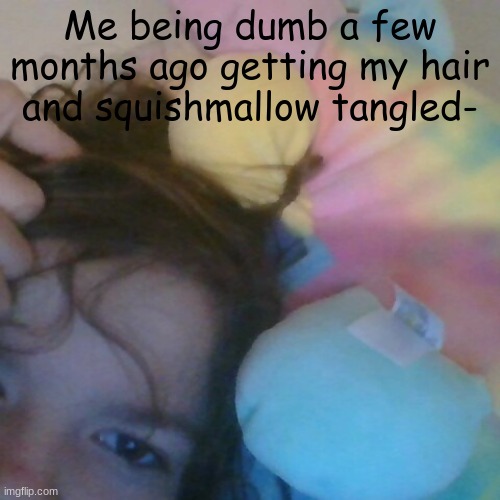 Think my stuffed anime trying to hang | Me being dumb a few months ago getting my hair and squishmallow tangled- | image tagged in lol | made w/ Imgflip meme maker