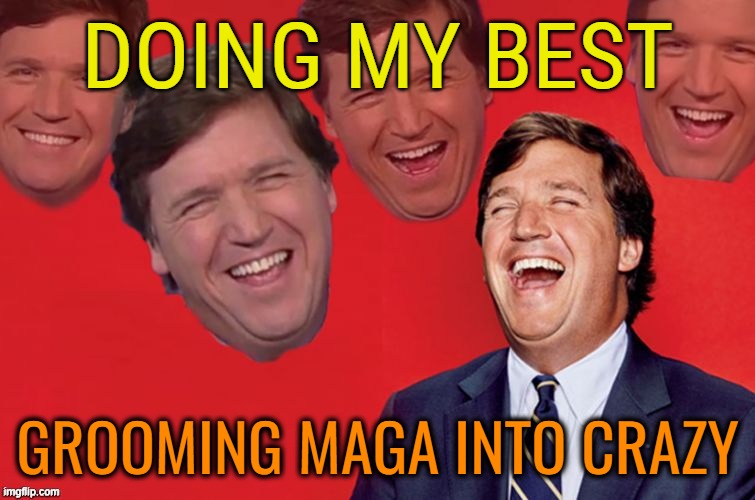 Tucker laughs at libs | DOING MY BEST GROOMING MAGA INTO CRAZY | image tagged in tucker laughs at libs | made w/ Imgflip meme maker