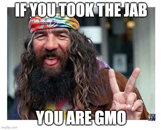 Non-gmo | IF YOU TOOK THE JAB; YOU ARE GMO | image tagged in hippie | made w/ Imgflip meme maker