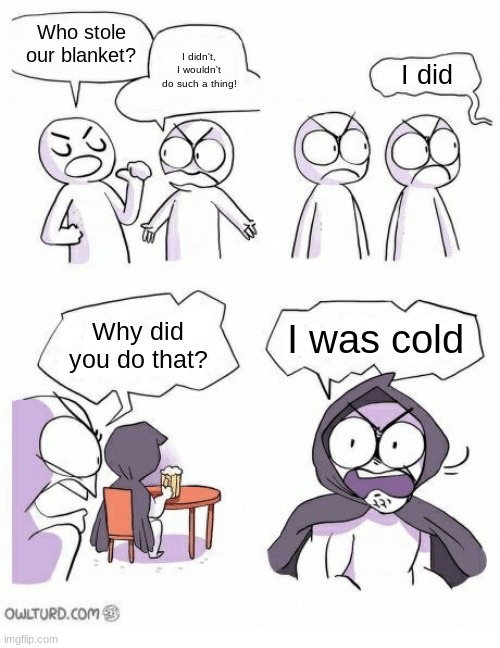 wholesome | Who stole our blanket? I didn't, I wouldn't do such a thing! I did; I was cold; Why did you do that? | image tagged in amateurs | made w/ Imgflip meme maker