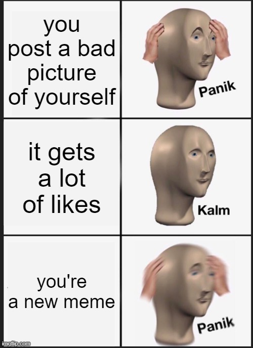 Panik Kalm Panik | you post a bad picture of yourself; it gets a lot of likes; you're a new meme | image tagged in memes,panik kalm panik | made w/ Imgflip meme maker