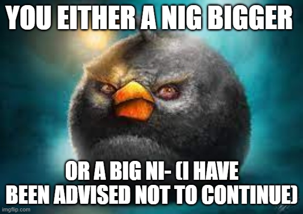 i'm black, so i can say the n wodr anytime | YOU EITHER A NIG BIGGER; OR A BIG NI- (I HAVE BEEN ADVISED NOT TO CONTINUE) | image tagged in smart fella | made w/ Imgflip meme maker