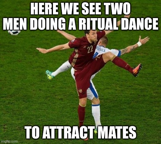 soccer players dancing | HERE WE SEE TWO MEN DOING A RITUAL DANCE; TO ATTRACT MATES | image tagged in soccer players dancing | made w/ Imgflip meme maker