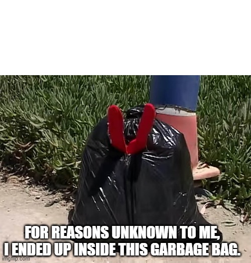 For reasons unknown to me, I ended up inside this garbage bag. Blank Meme Template
