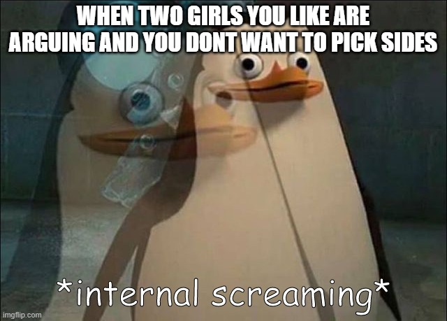 So true | WHEN TWO GIRLS YOU LIKE ARE ARGUING AND YOU DONT WANT TO PICK SIDES | image tagged in private internal screaming | made w/ Imgflip meme maker